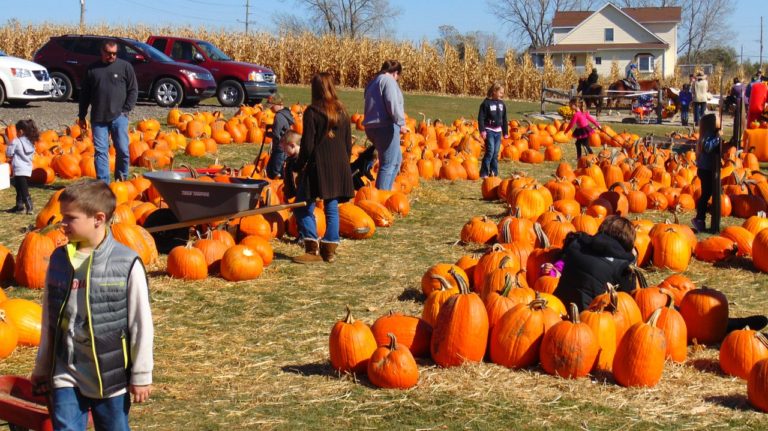 Fall Fun with the Kids