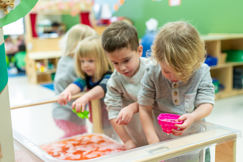 Our Trusted Process Provides Your Child with a Safe and Clean Space to Learn and Grow