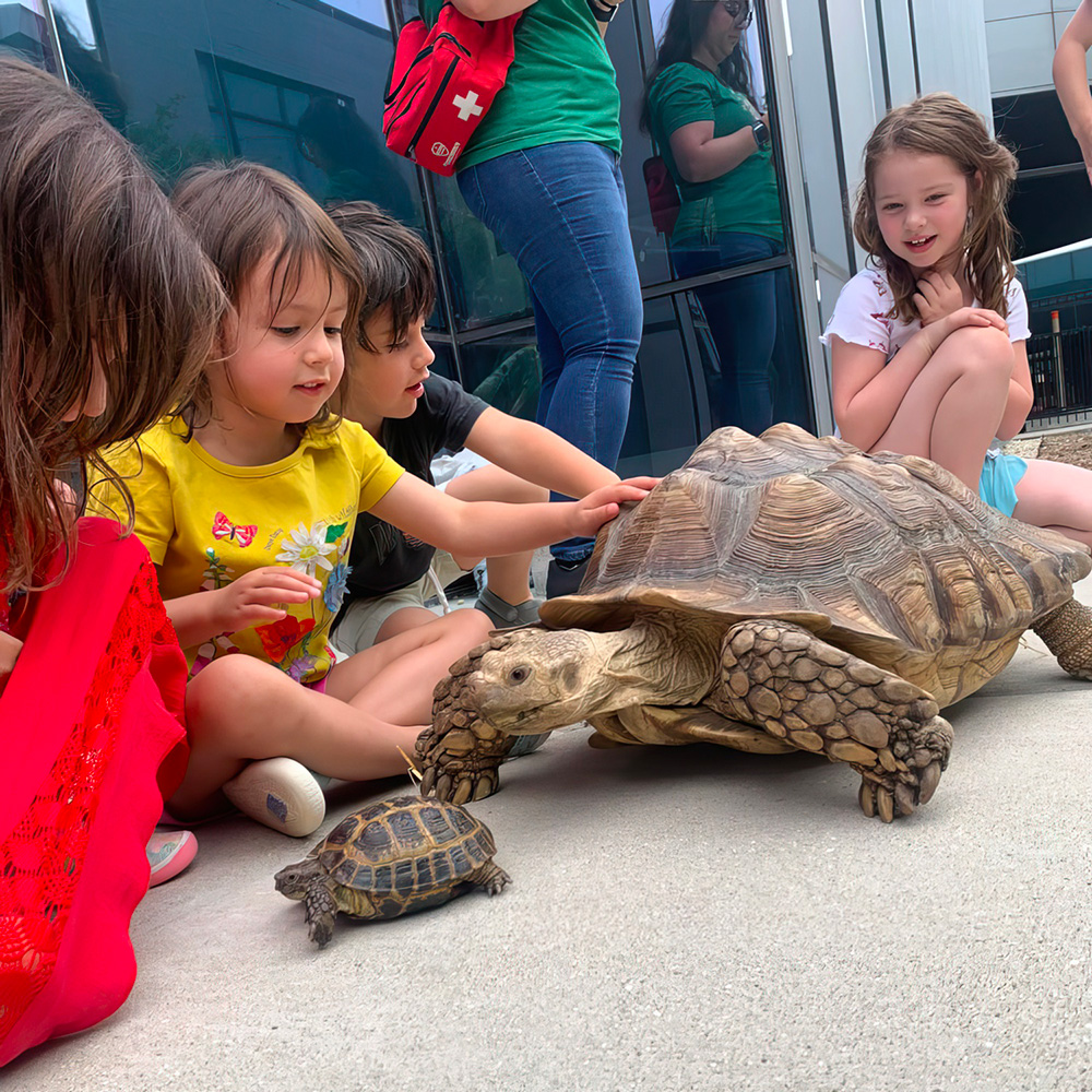 Field Trips That Bring Learning to Life